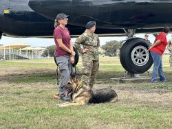 Special guests, including retired military working dogs, attended the special event honoring the Military Working Dog Teams National Monument.